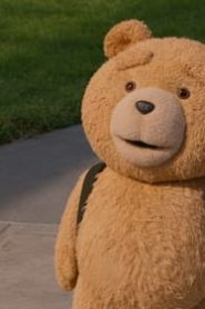 ted: 1×1
