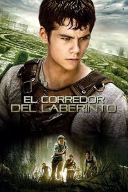 Maze Runner: Correr o morir 2014