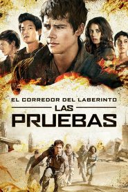 Maze Runner: Prueba de fuego 2015