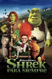 Shrek 4 2010