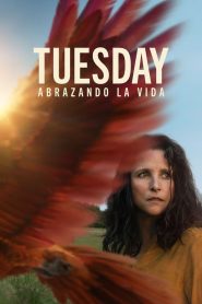 Tuesday, Abrazando La Vida 2024