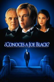 ¿Conoces a Joe Black? 1998