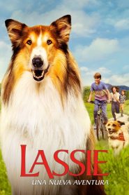 Lassie (Una nueva aventura) 2023