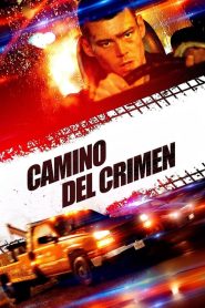 Camino del crimen 2018