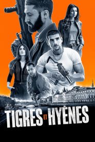 Tigres y hienas 2024