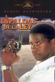 A espaldas de la ley 1989