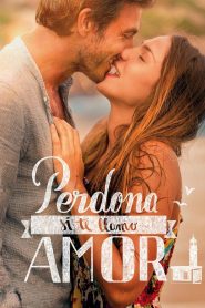 Perdona si te llamo amor 2014