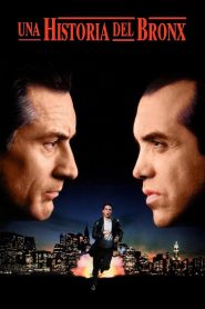 Un Cuento en el Bronx 1993