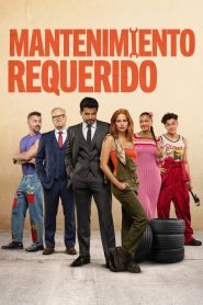 Mantenimiento Requerido 2025