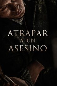 Atrapar a un asesino 2017