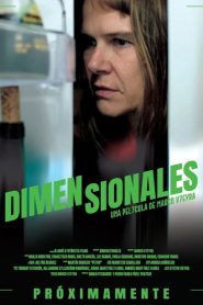 Dimensionales 2025