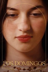 Los domingos 2025