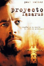 Proyecto Lazarus 2008