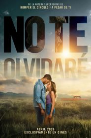 No te olvidaré 2026
