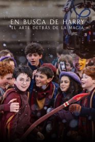 En busca de Harry: El arte detrás de la magia 2026