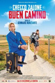 Buen Camino 2025
