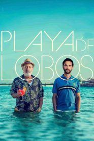 Playa de lobos 2025