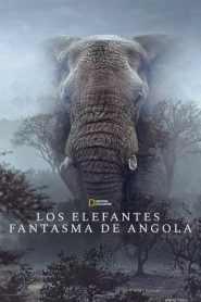 Elefantes fantasma 2026