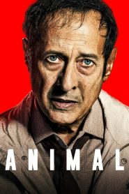 Animal 2018