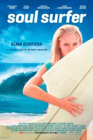 Desafío sobre olas 2011