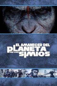 El planeta de los simios: Confrontación 2014