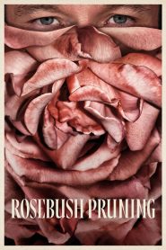 Rosebush Pruning 2026