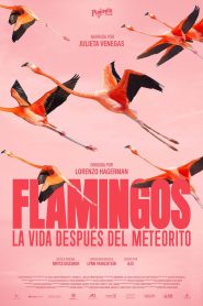Flamingos: La vida después del meteorito 2026
